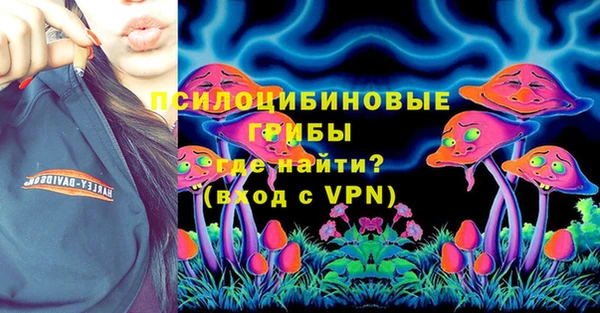 гидра Арсеньев