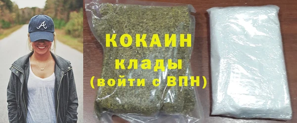 гидра Арсеньев